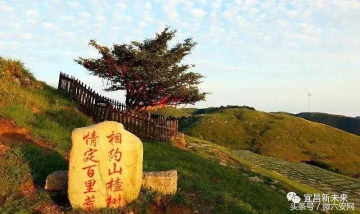 宜昌夷陵区好吗,宜昌夷陵区是宜昌最好的区吗