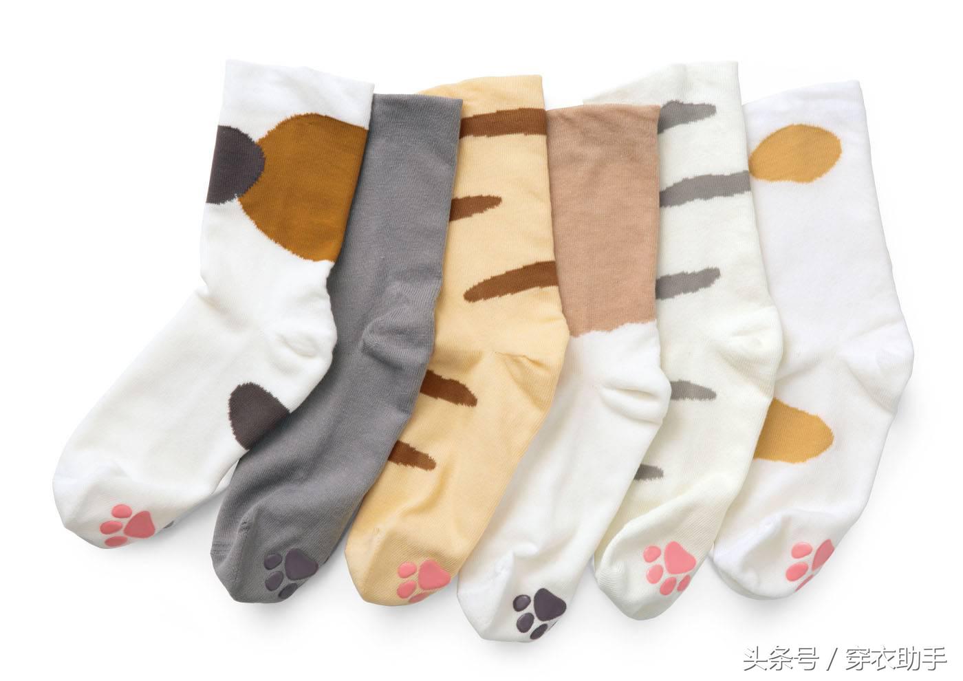 提升猫咪幸福感的东西,提升猫咪智商的玩具