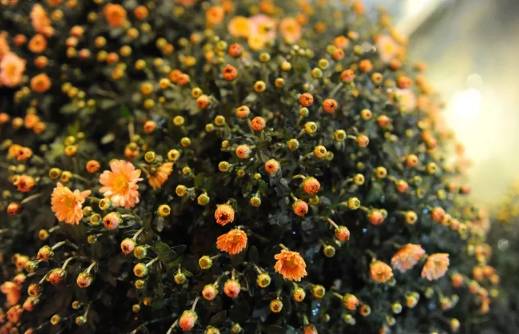 诗词鉴赏人生,诗词鉴赏人