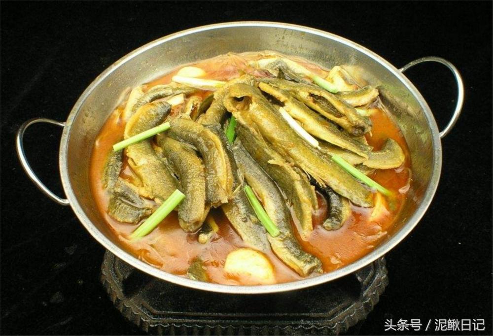 养殖泥鳅青蛙能赚钱吗,稻田泥鳅青蛙生态循环养殖技术