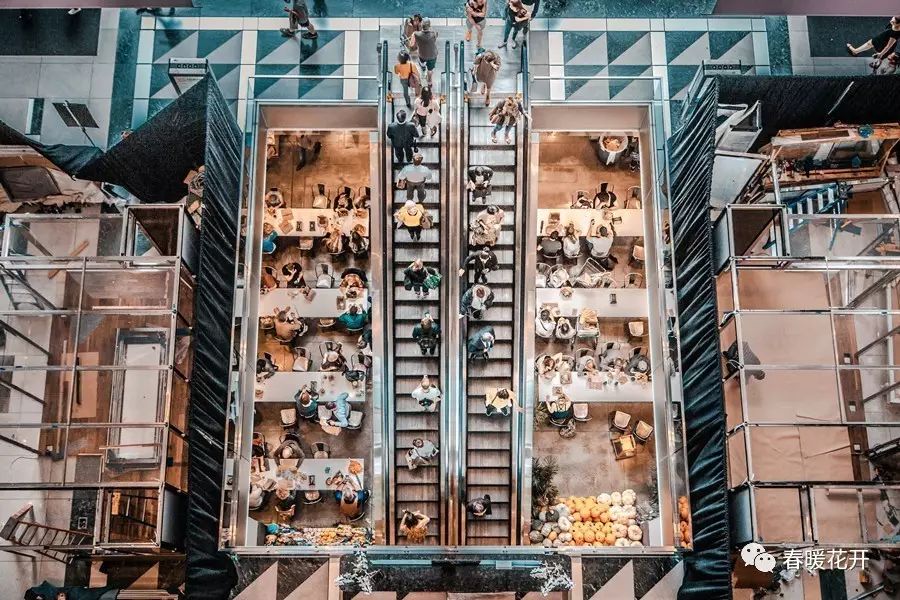 陈春花平台化组织架构,陈春花组织文化