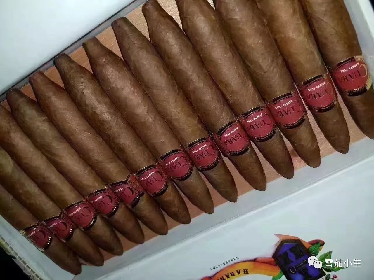 国产雪茄与古巴雪茄味道差别大吗,古巴雪茄什么味道