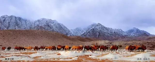 大西北旅游匈奴,一起游巴朗山