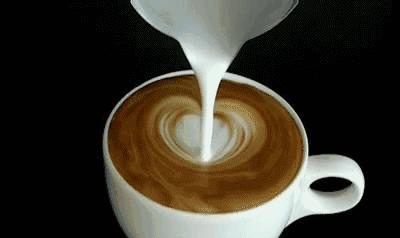 猫屎咖啡是怎么在全世界出名的,猫屎咖啡是不是世界上最好的啊