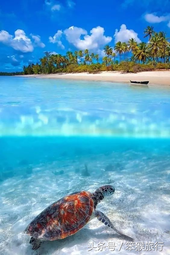 如何征战朋友圈？这个超洗眼睛的地方可落地签一周预算5K+