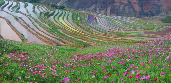 攀枝花市夏季旅游路线,攀枝花周边景点一日游最佳路线