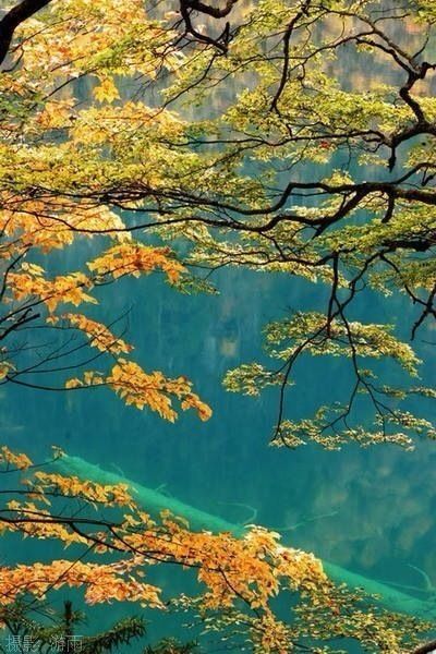 诗词鉴赏人生,诗词鉴赏人