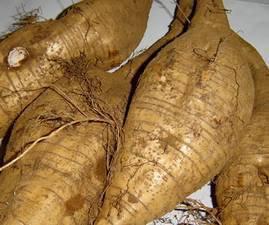 女性吃什么中药能保护卵巢,什么食物可以保护卵巢不衰老