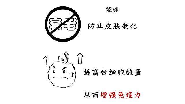 真正有龟的龟苓膏图片,龟苓膏里头真的有龟吗