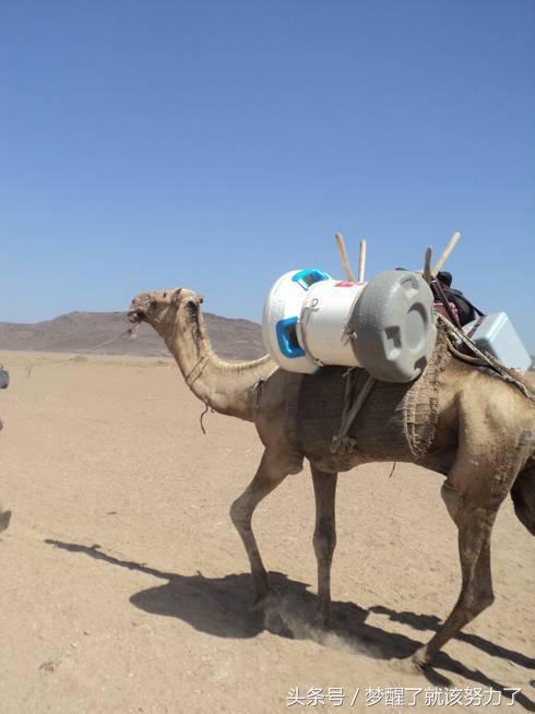 中国制造加油点赞,中国制造加油