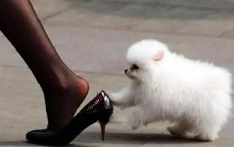 鞋子不跟脚怎么办视频,鞋子松了不跟脚怎么办