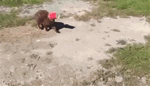 有个特别爱笑的女朋友,有一个积极乐观的女朋友