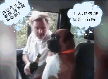 老爸酒喝多了，非要拉着狗狗唠嗑，狗：我能怎么办，我也很绝望！
