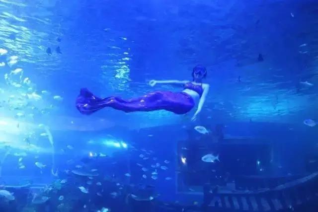 大西北旅游匈奴,一起游巴朗山