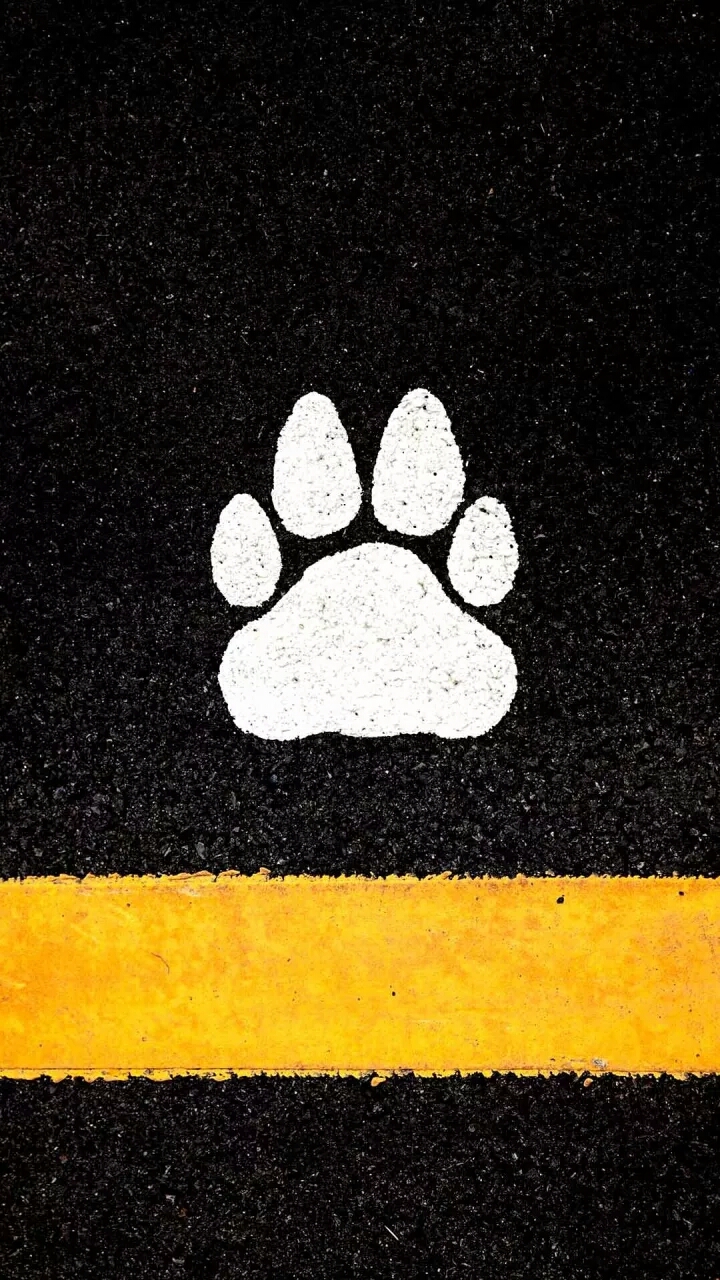 黑白简约手机壁纸超清全面屏,黑白简约壁纸苹果图案