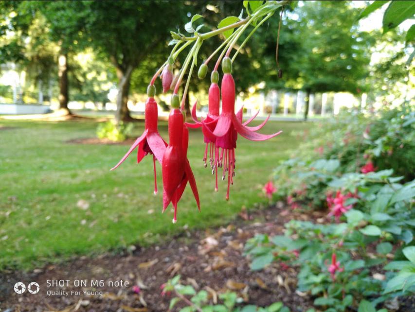 魅蓝note6测评吃鸡,魅族note6测评