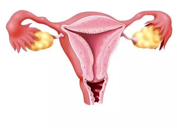 女人产后第一年该做什么,产褥期妈妈怎么护理