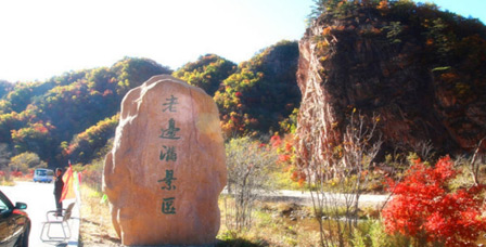 本溪旅游枫叶,最美枫叶本溪