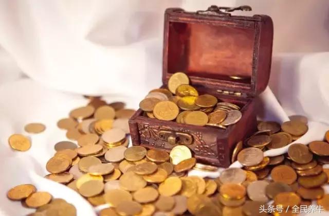 养牛投资理财,全民养牛有没有技术含量