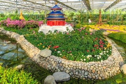 京郊采摘,秋天京郊采摘好去处