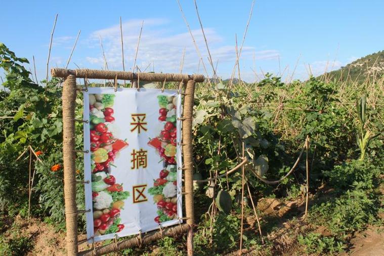 京郊采摘,秋天京郊采摘好去处