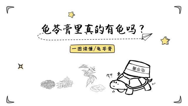真正有龟的龟苓膏图片,龟苓膏里头真的有龟吗