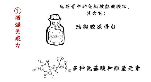 真正有龟的龟苓膏图片,龟苓膏里头真的有龟吗