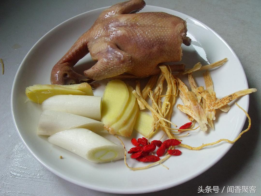 一鸽胜九鸡配什么汤,一鸽胜九鸡炖鸽汤要注意哪些