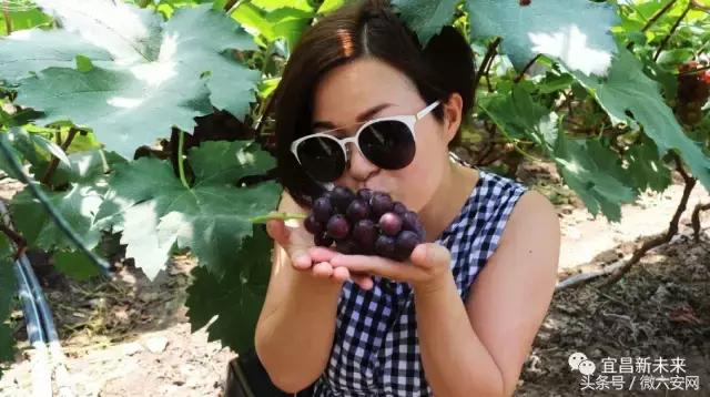 宜昌夷陵区好吗,宜昌夷陵区是宜昌最好的区吗