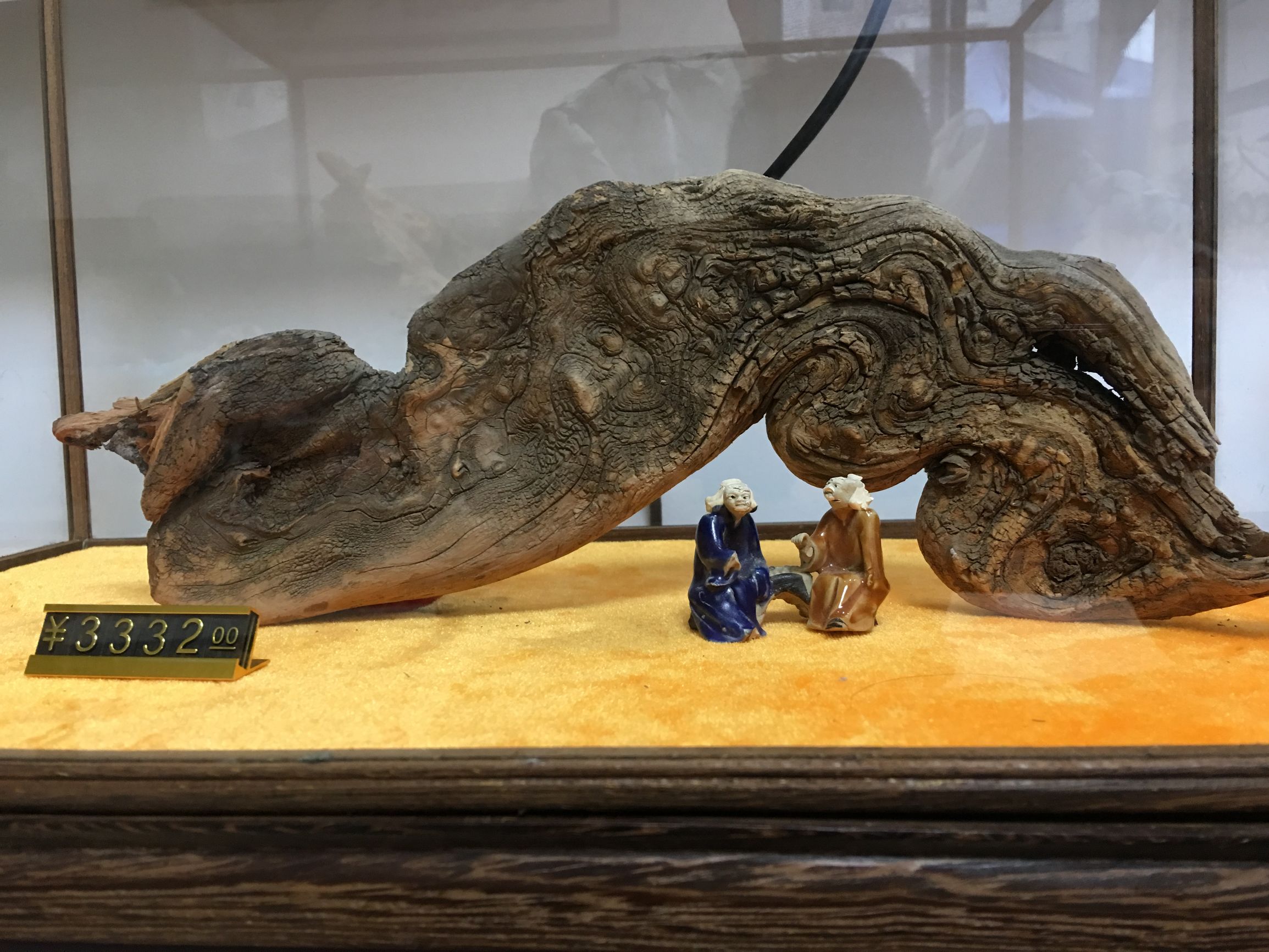 崖柏的正确玩法,崖柏的认识方法