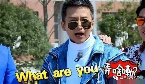 在“一言不合就停播”的综艺荒时代，有喜欢的综艺就第一时间看吧