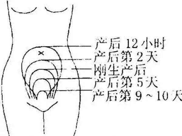 女人产后第一年该做什么,产褥期妈妈怎么护理