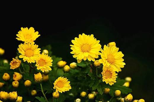 诗词鉴赏人生,诗词鉴赏人