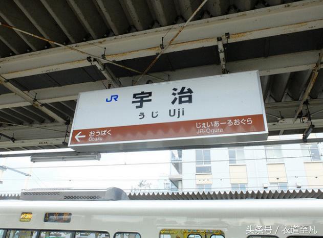 深度了解抹茶,抹茶控的你真的了解它吗