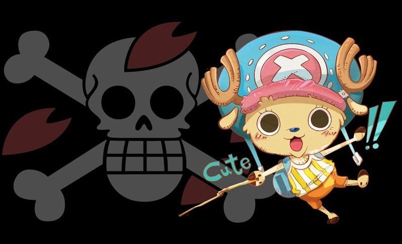 海贼王各大绝招,海贼王十大最终绝招排行榜