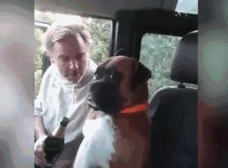 老爸酒喝多了，非要拉着狗狗唠嗑，狗：我能怎么办，我也很绝望！