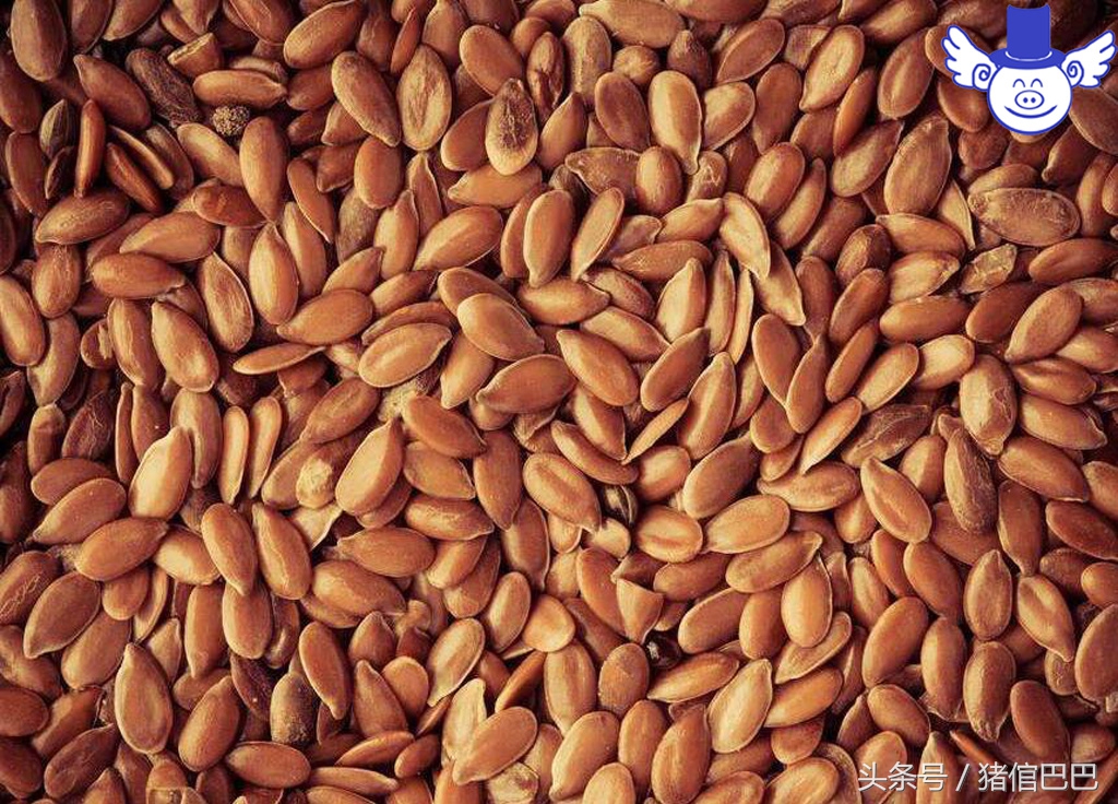 猪霉菌中毒有什么症状怎么治疗,猪霉菌毒素中毒的症状及治疗措施