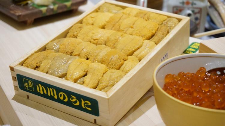 楫ㄤ竴鏃ユ枡涓轰粈涔堣繖涔堣吹,楫ㄤ竴鏃ユ枡浜哄潎