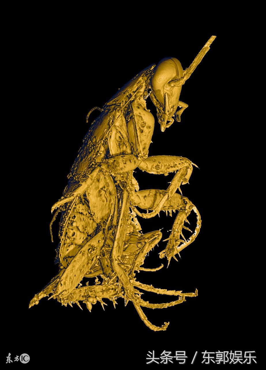 能留住你的冷知识，一个人静悄悄的“优秀”