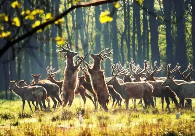 十一长假带娃出游出行攻略,十一出行攻略3天两夜