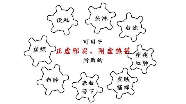 真正有龟的龟苓膏图片,龟苓膏里头真的有龟吗