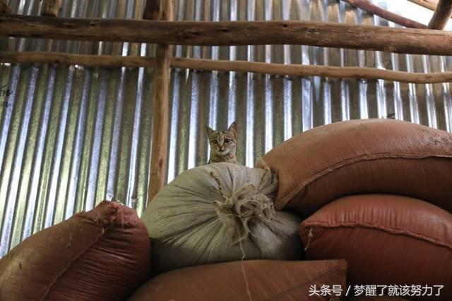 中国制造加油点赞,中国制造加油