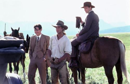 燃情岁月电影豆瓣评分,燃情岁月影评解析