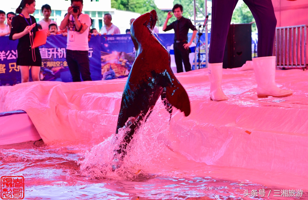 两个新的游玩项目入驻株洲，坐免费直升机还剩7天