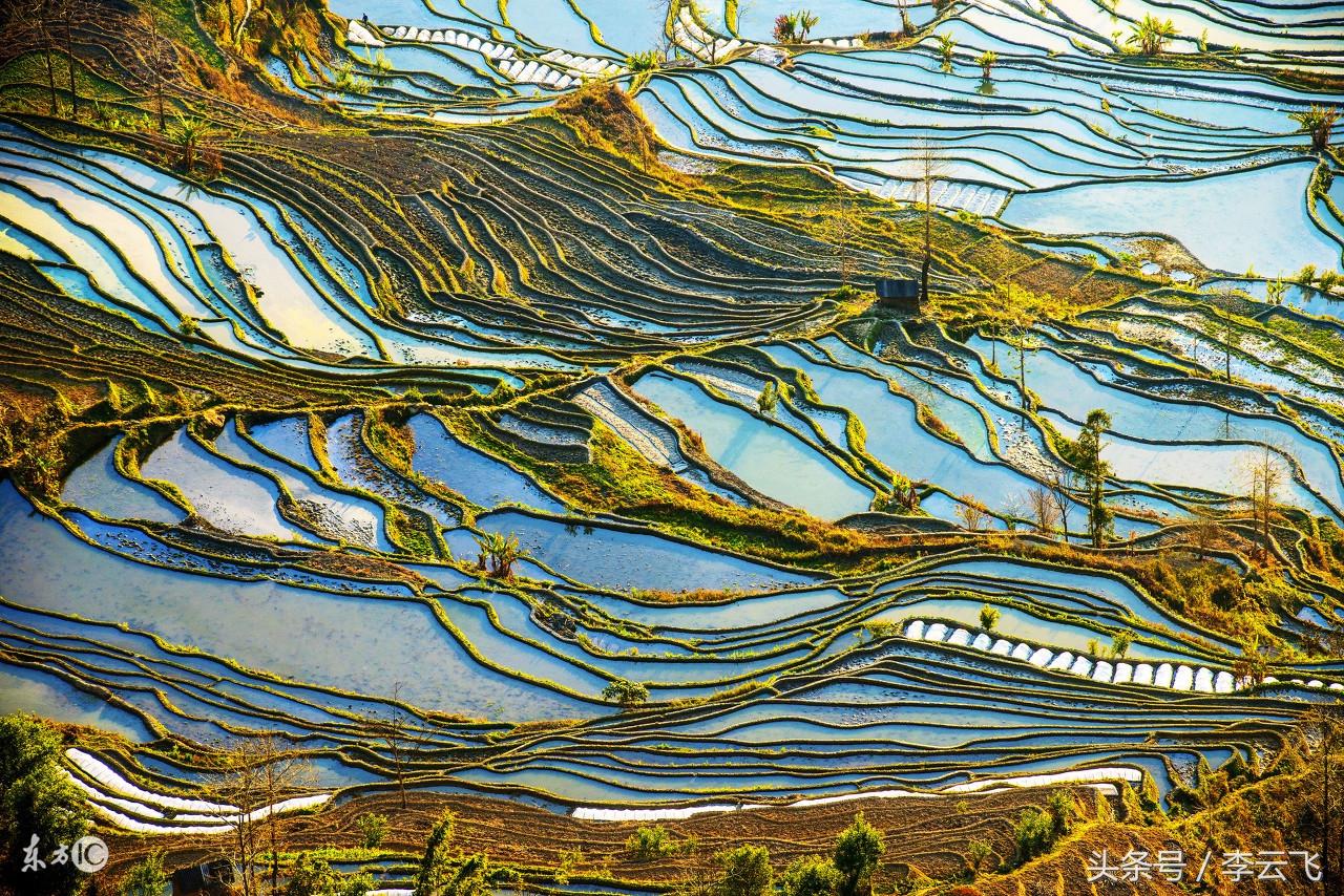 云南名人，嵩明素王：兰茂赋