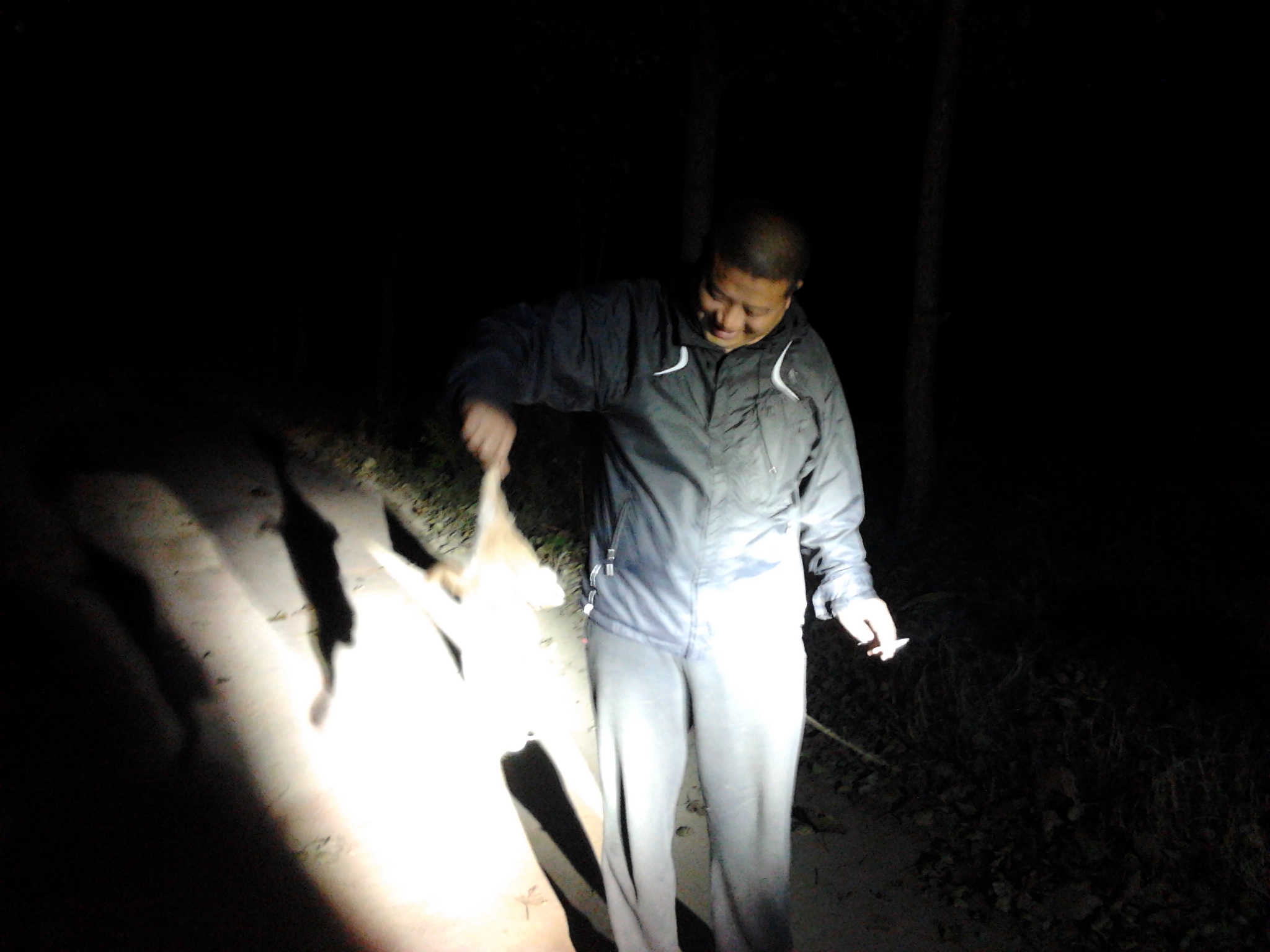 晚上抓兔子注意什么,夜晚抓兔子最好的方法