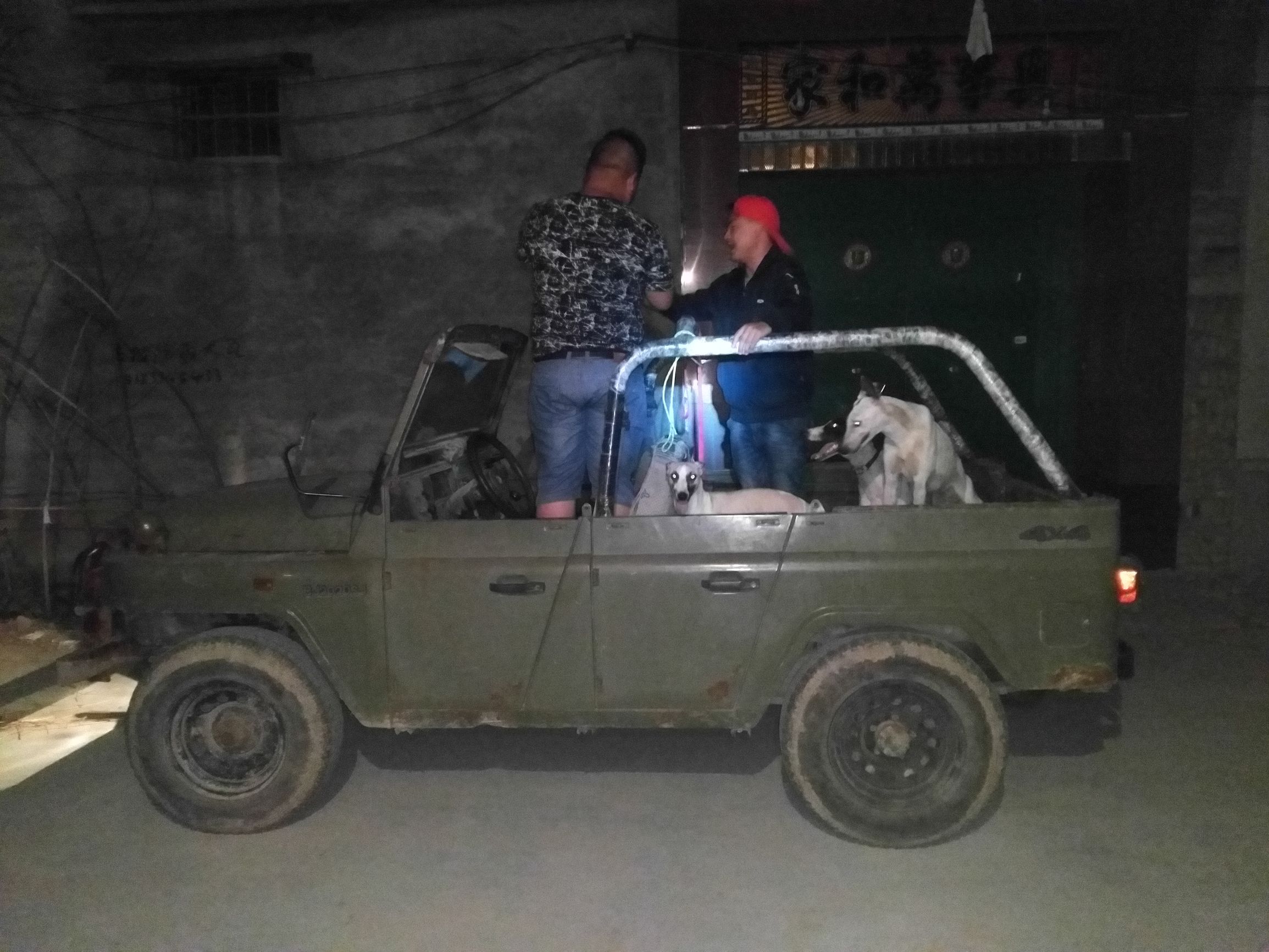 晚上抓兔子注意什么,夜晚抓兔子最好的方法