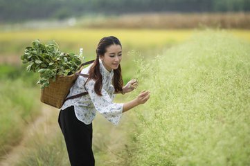 24岁村花闯荡东莞8年练就一身绝技回乡创业收获事业爱情