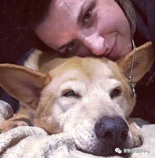 流浪狗被抛弃后又不幸得重病,流浪狗生病被救助