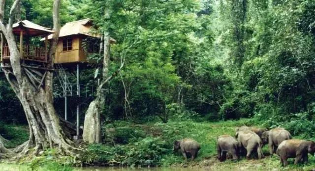 云南最美公路自驾出行攻略,自驾去云南沿途的风景美不胜收